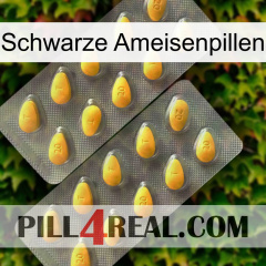 Black Ant Pills cialis2